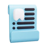 X Ray Anatomy Dental Care Dentist Tooth